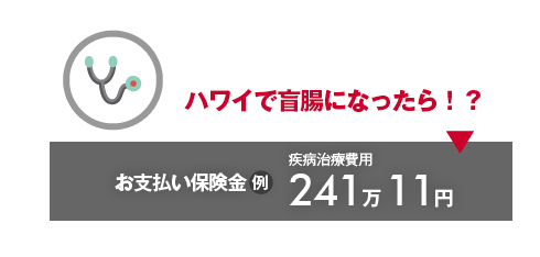 ハワイで盲腸になったら！？→お支払い保険金（例）疾病治療費用241万11円