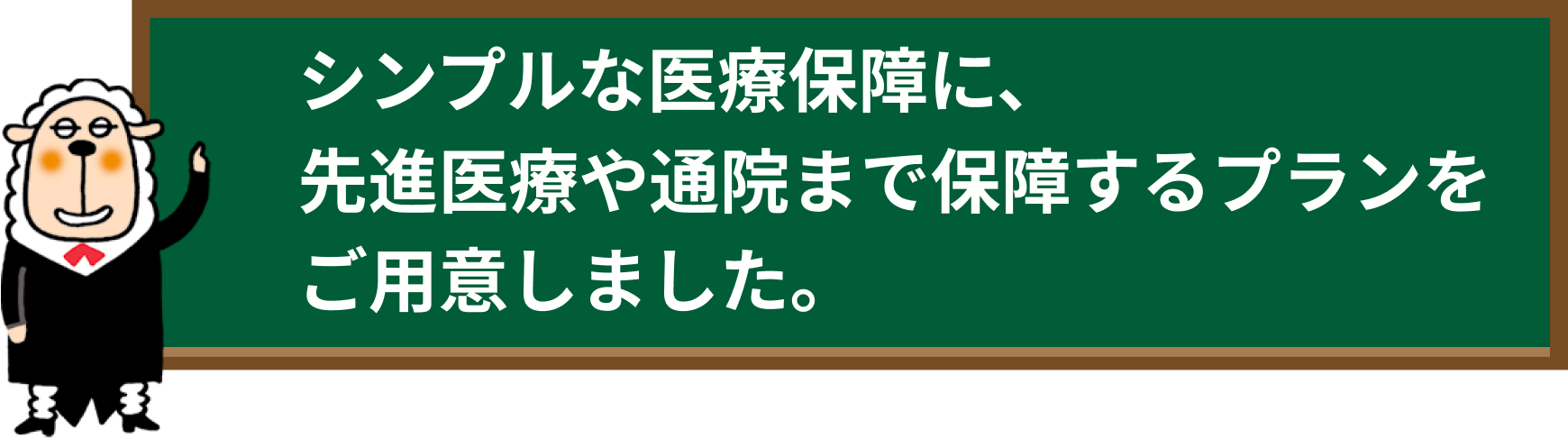 シンプルな医療保障に、先進医療や通院まで保障するプランをご用意しました。